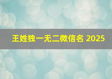 王姓独一无二微信名 2025